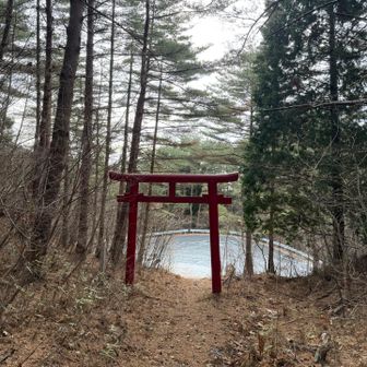 入口の鳥居まで戻ってきました⛩

下山時、いつも肩が痛くなっていたけど、今日は全然平気😲
後日膝にくるかなー？とも思ったけど、今のところ大丈夫……☘️
これは買ってよかったのだと確信です😉