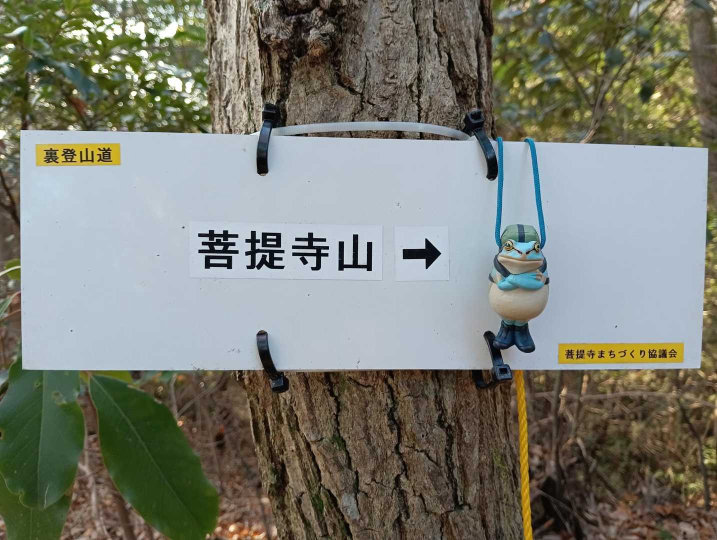 標識と同行者🐸