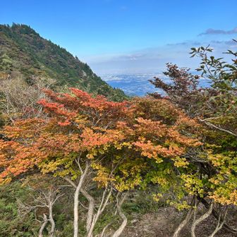 山には四季折々の美しさがある。