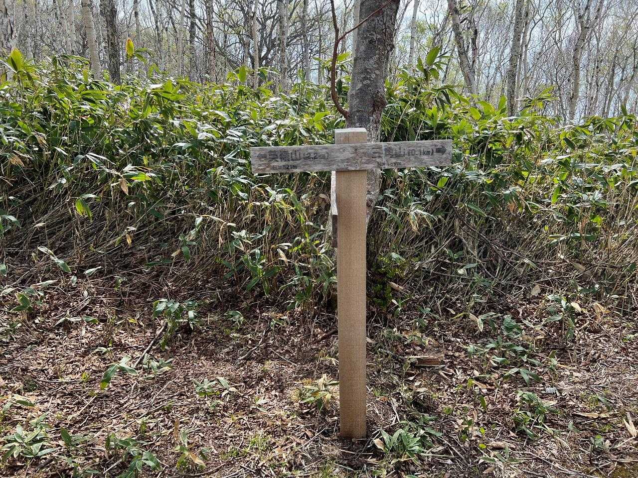 あまり長くない急登を越えたところにある標識。
まずは三角山へ。
