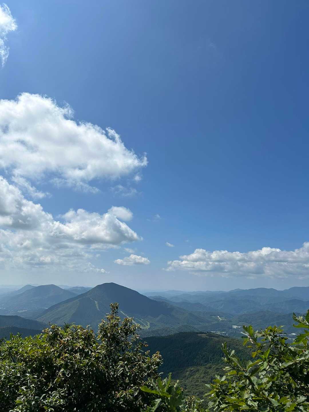 月見が丘登山口-岩樋山 往復コースの写真