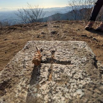 2人組のお姉さん達にご挨拶🎍なんかベテラン風なオーラだったんで✨昨日会った🐿️の話を報告🤣初見でベラベラすいません🤣