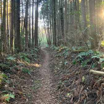 ウキウキするなだらかな道