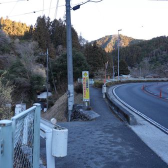 299に出てここから入り