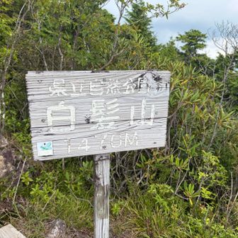はい、🙂‍↕️登頂✨
とりあえず奥白髪山⛰️