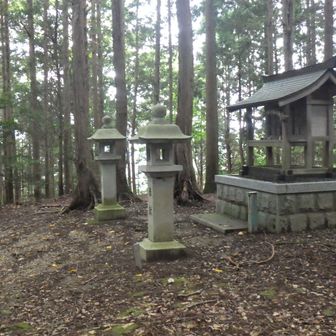 ここが山頂かな🤔