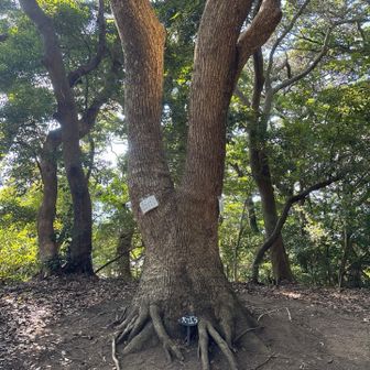 ここにたどり着くまで、かなり迷子になりました…