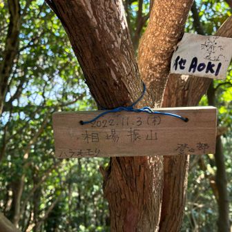相場振山に到着