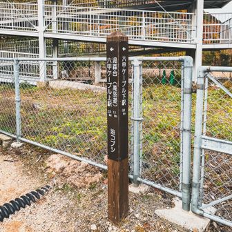 次はこちらでぃス(ง ˆ̑‵̮ˆ̑　)ว