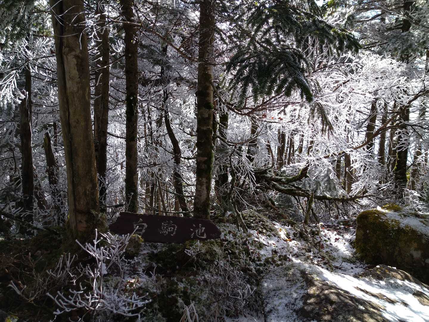 中山展望台〜高見石までが1番雪と氷がツルツルで大変💦ずっとへっぴり腰💦💦