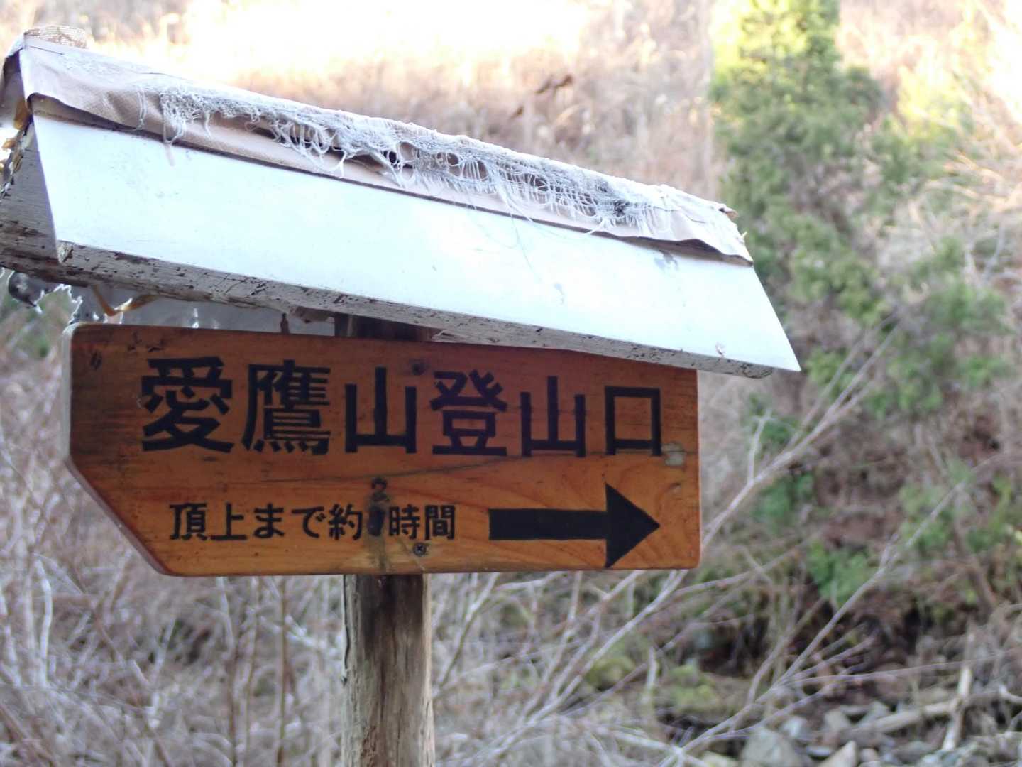 右からだと山頂まで2時間。