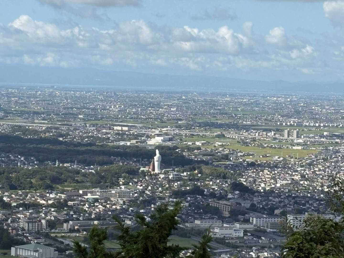 高良山往復 | 季節の草花が彩る高良大社参拝コースの写真