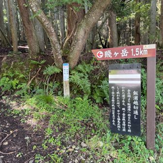 登山道へ