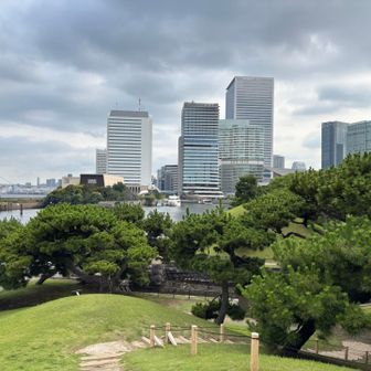 新樋の口山からの眺望です　標高4メートルしかありませんがかなり高くなったような気がします🤣