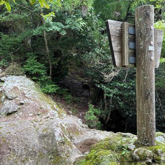 右下↘️歴史の苔階段から来ました！↖️へと