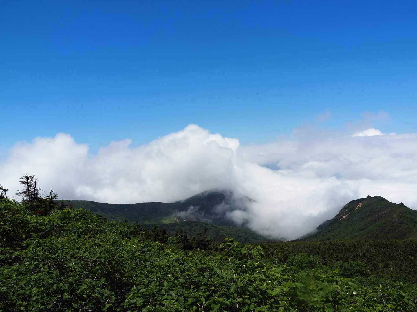 モクモクと雲が湧いてきてます😃