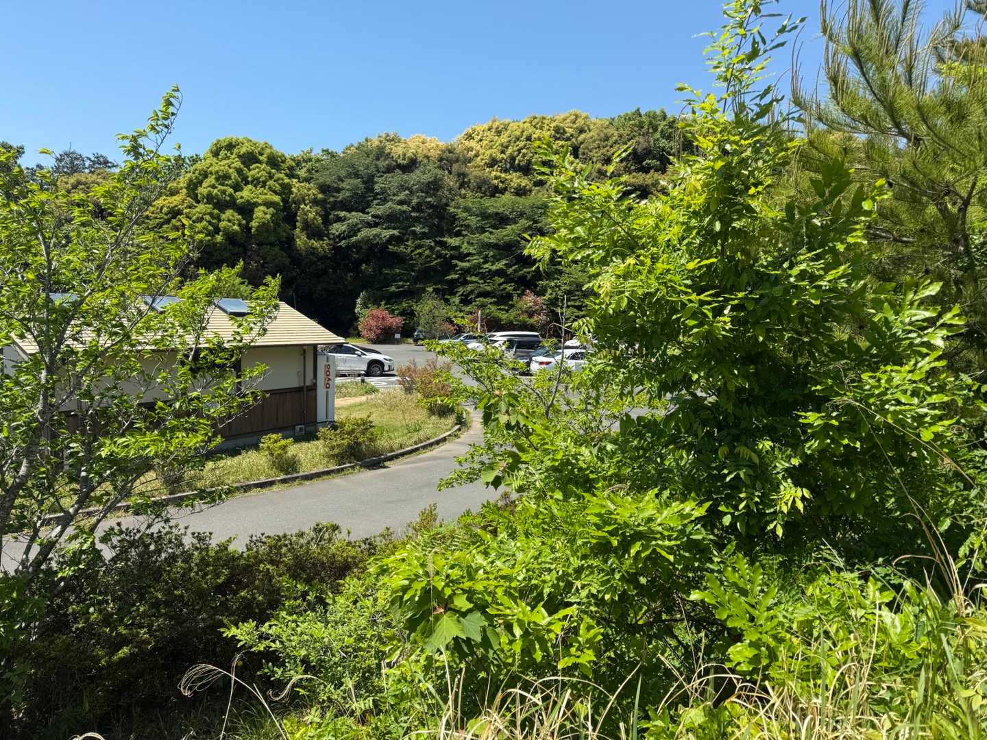 下山して🚗で葦毛湿原へ🎶