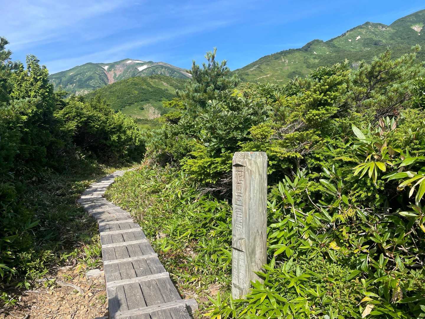 花園三角点に到着。