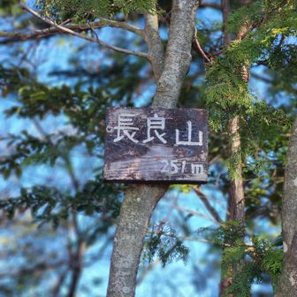 6⛰️
登りがキツイ
トレランの女性とお喋り
ありがとうございました。