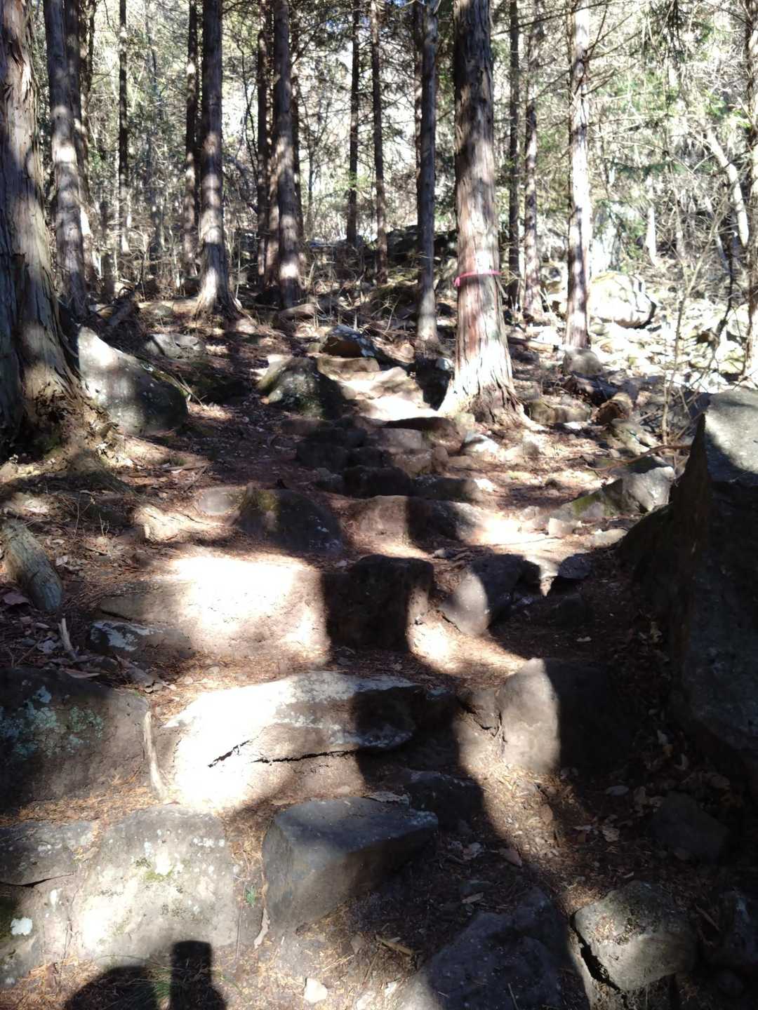 兜山 周回コースの写真