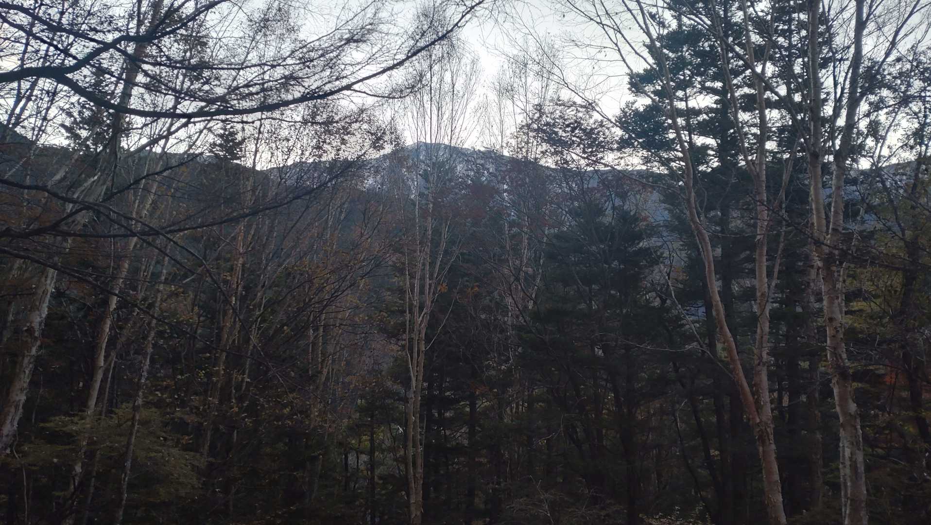 小河内岳