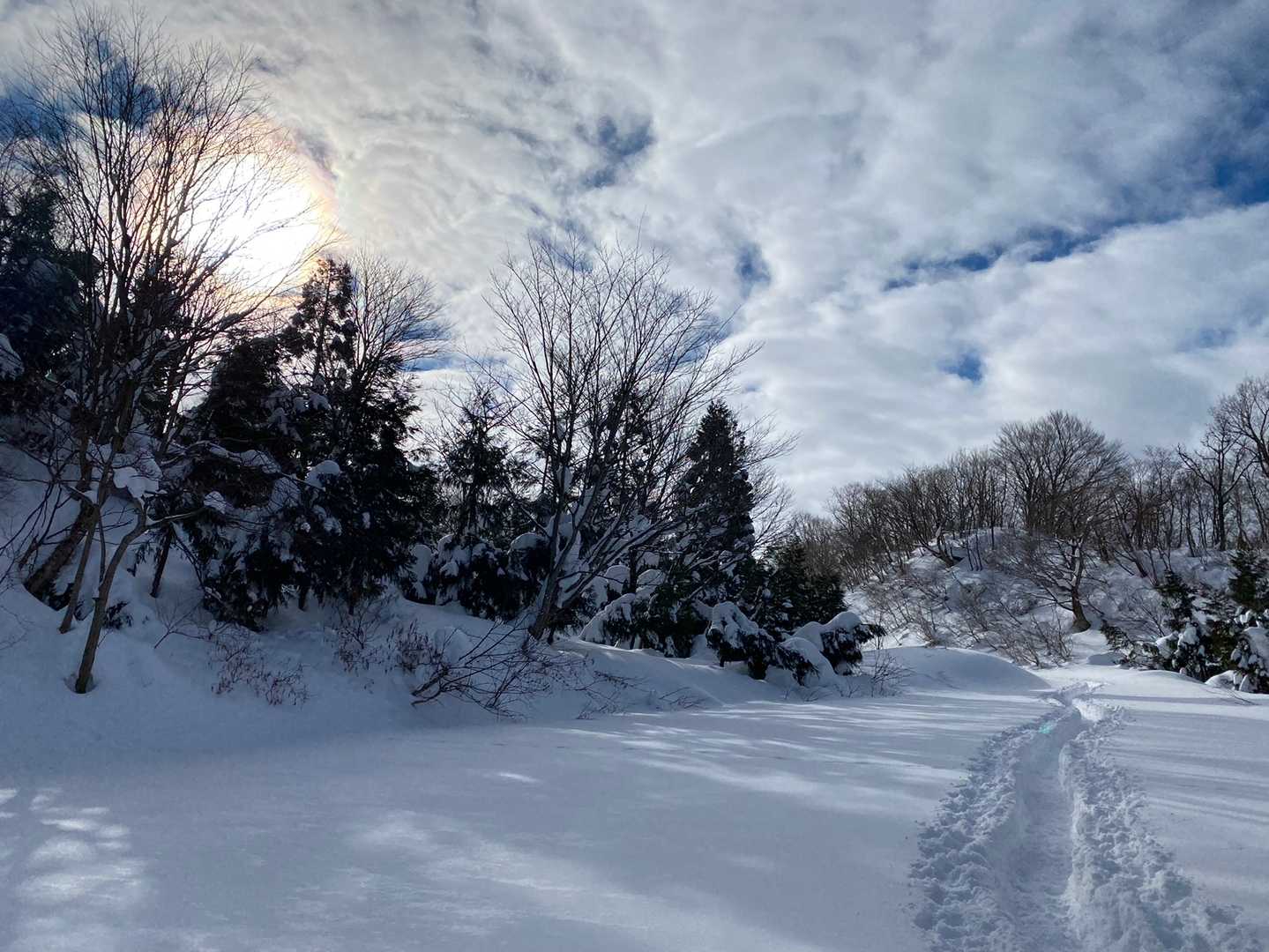 登山口迄が約1時間かかります