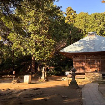 写真左から降りてきました。振り返って撮影