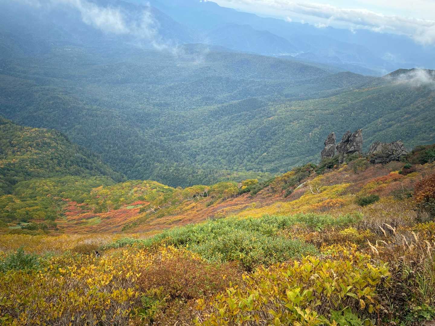 黒岳の招き岩　こちら側は黄色い紅葉🍁ナナカマドはあまり赤くない