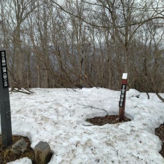 残雪は、三十三間山の頂上付近にしかなかった。おかげで、登るのは楽だった。