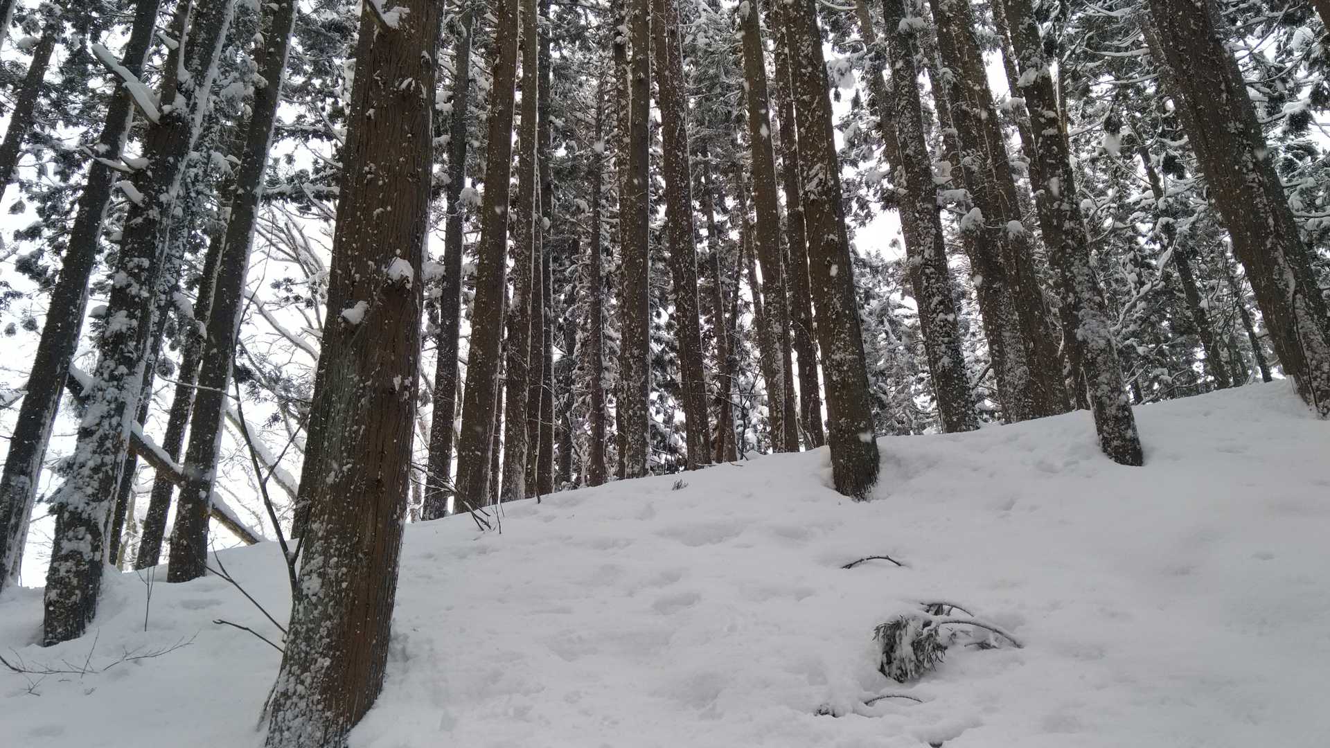 鞍掛山（秋田県仙北郡美郷町）の写真