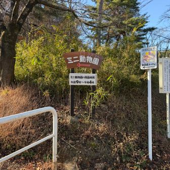 早速、ミニ動物園へ