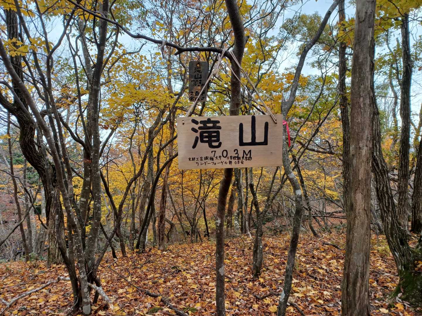 滝山の写真