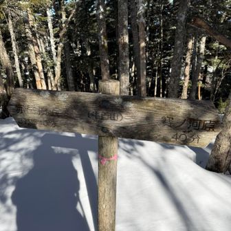 山頂標識🏔️

やっとついた〜😆
いや〜大変だった😆
なかなか進まなかった😆

計画では、先の扇山まで行く予定にしてたんだけど、やめた😆もう十分堪能した（笑）
下山、少し違うルートで氷瀑を見に行く予定もやめて、ピストンにした（笑）