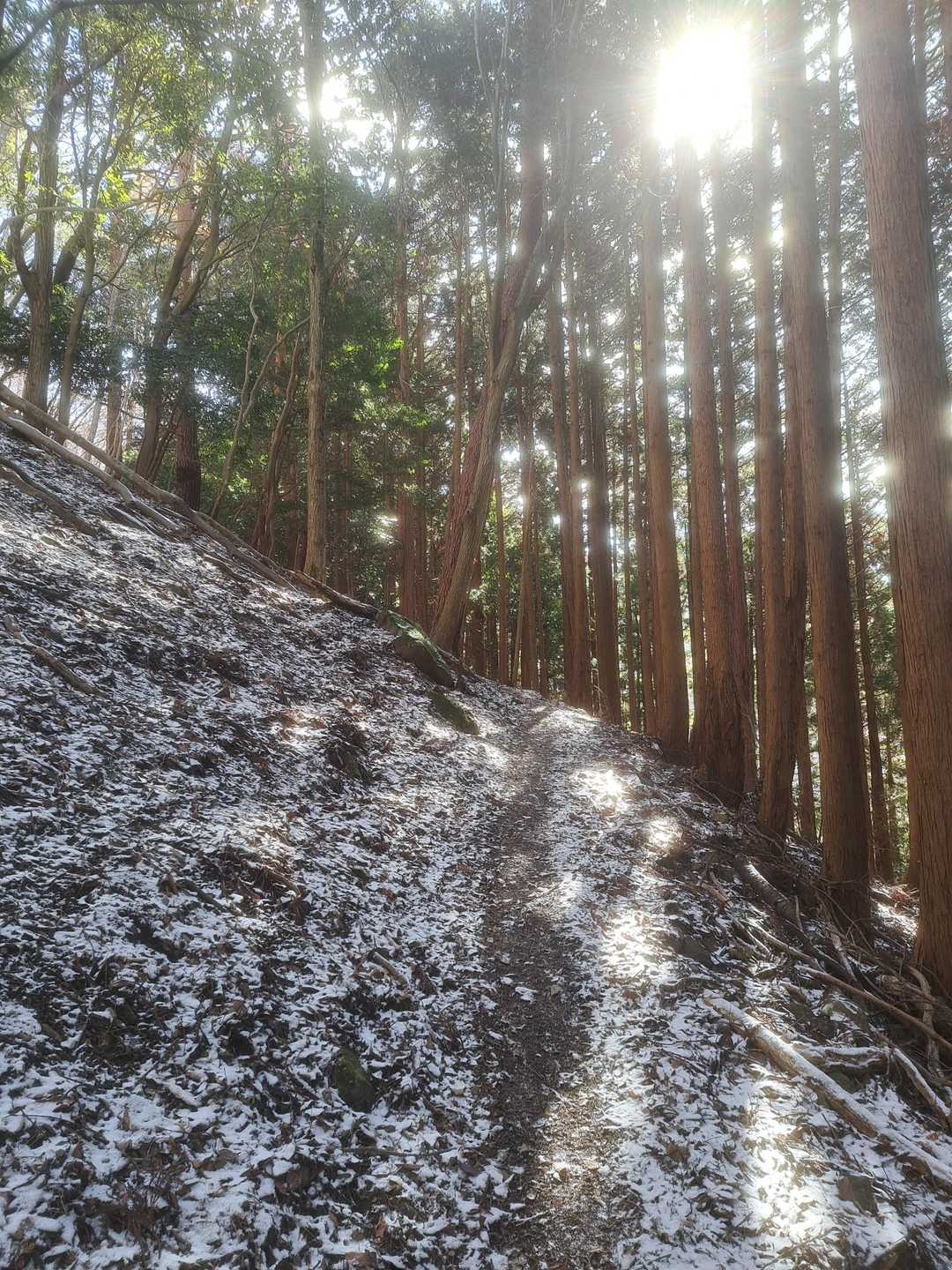 でも、綺麗✨
これ見たら、来て良かった思うのです☺❣️
