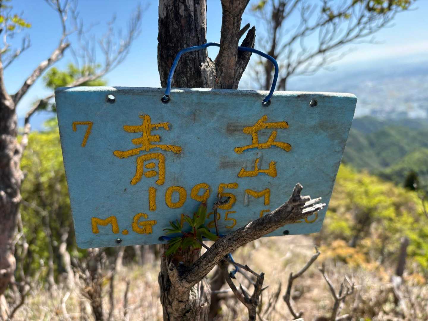 青岳だけに、青い山名板
