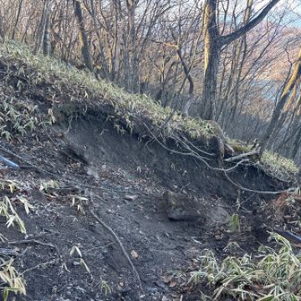 北側の登山道で榛名湖畔までいったん降ります
えぐるように崩れた激下り箇所にはロープあり🪢
