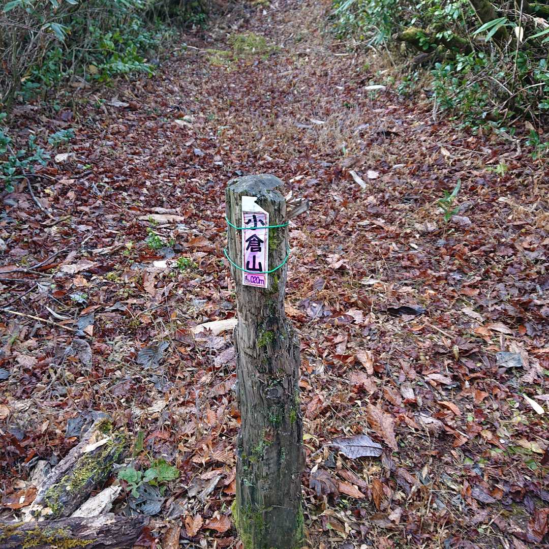 小倉山 眺望はなく、登山道の中にピークあり