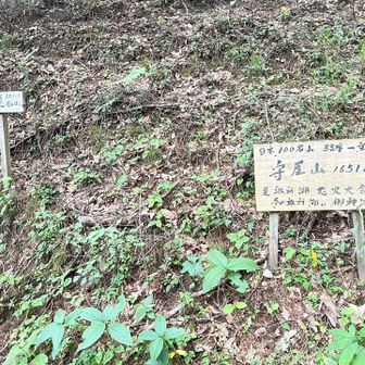 登山道出口まできました
右のを読むとナイトハイク推奨😳

ここからの舗装路がしばらく激下りで腿と足先にくる😮‍💨