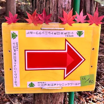 飾り付けしてみた☺️