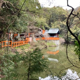 ちょいコースアウト