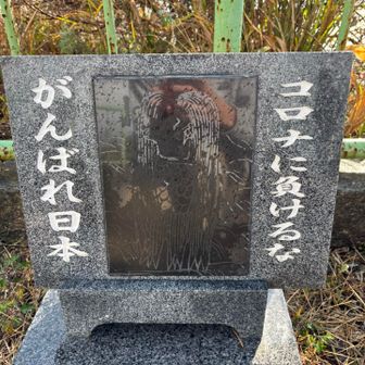 コロナのとき有名になったアマビエはこの地域のお話らしい。