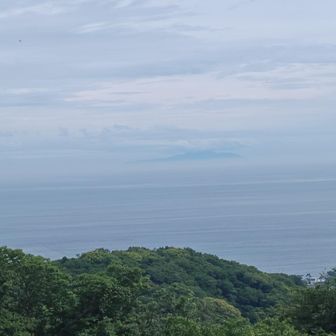 大島