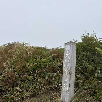 ずっと白いんだ