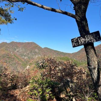 志段見山のルートが荒れてました😣
エスケープに利用した下りの破線ルートも落ち葉で危険でした