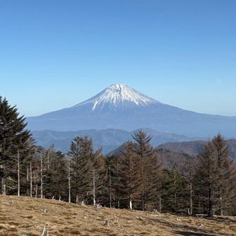 富士山🗻
