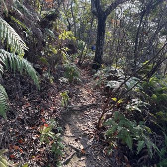 ピーク探しに行くよ。