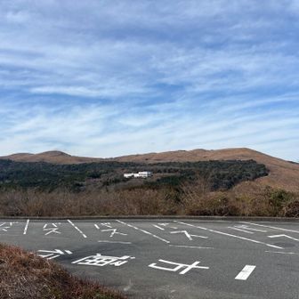 帰って来ました