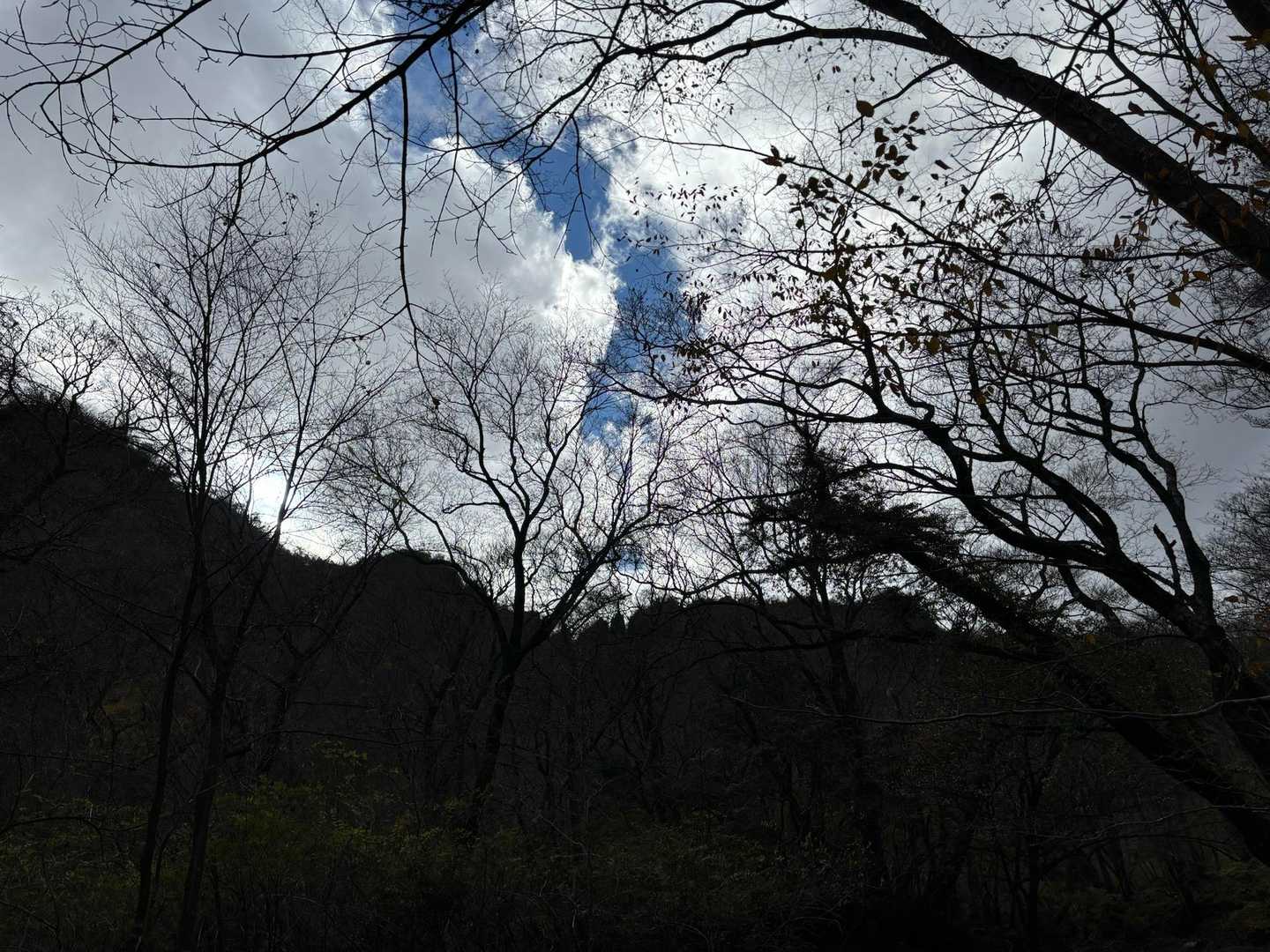 振り返って、鋸岳。
ギザギザです。