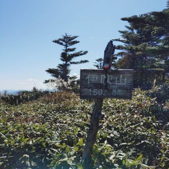 すぐ山頂