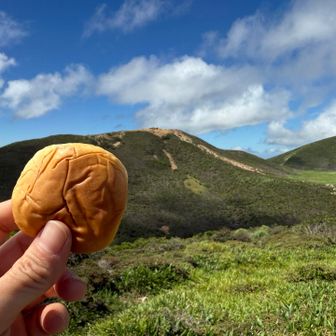 推し山(稲星山)眺めながら薄皮チョコパン食う。
休んでたらちょっと肌寒いくらいやった。
せっかくなので推し山にも登ることに。